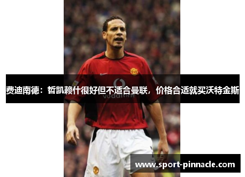 费迪南德：哲凯赖什很好但不适合曼联，价格合适就买沃特金斯